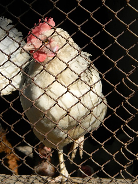 状态火热！布伦森首节8中5得到16分5助攻