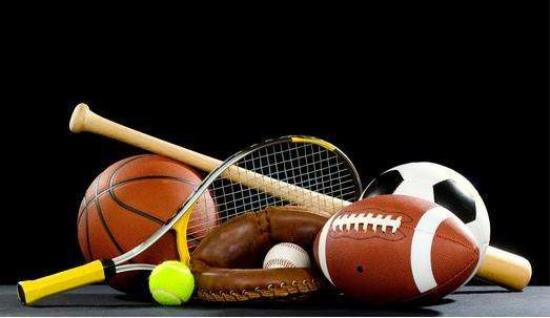 青少年校园马术启蒙：在马背成长中涵养品格